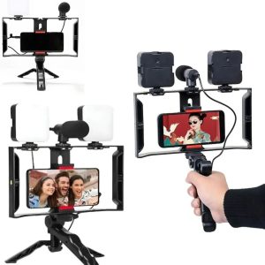 Estabilizador De Video + 2 Luces Led + Microfono + Tripode Con Control Bluetooth